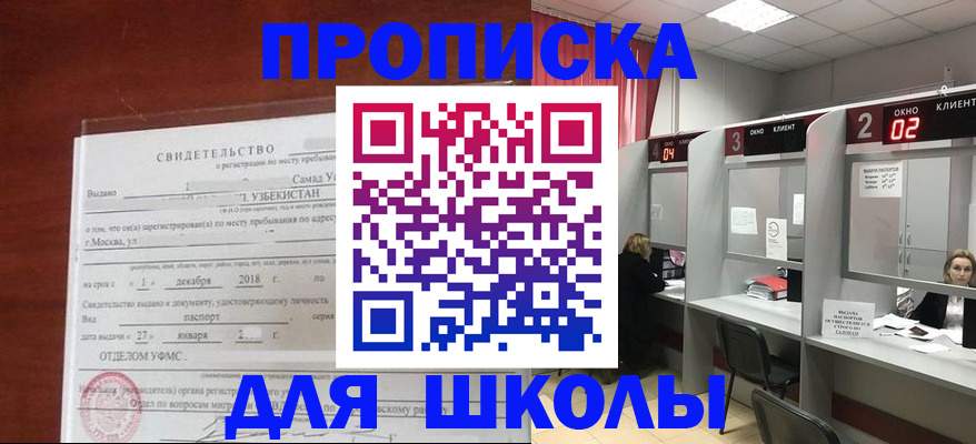 где прописаться в Павловске